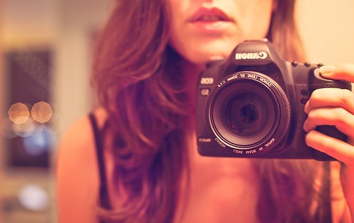 Photography: Bryan L. Cook's Portfolio